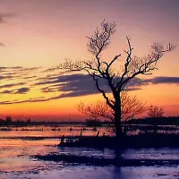 sonnenuntergang5.webp