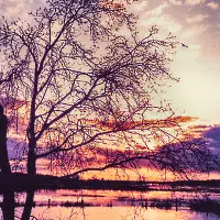 sonnenuntergang6.webp